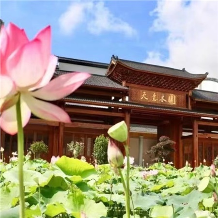 益陽(yáng)天意木國(guó)木文化博物館、金家堤、一碑五館一日游