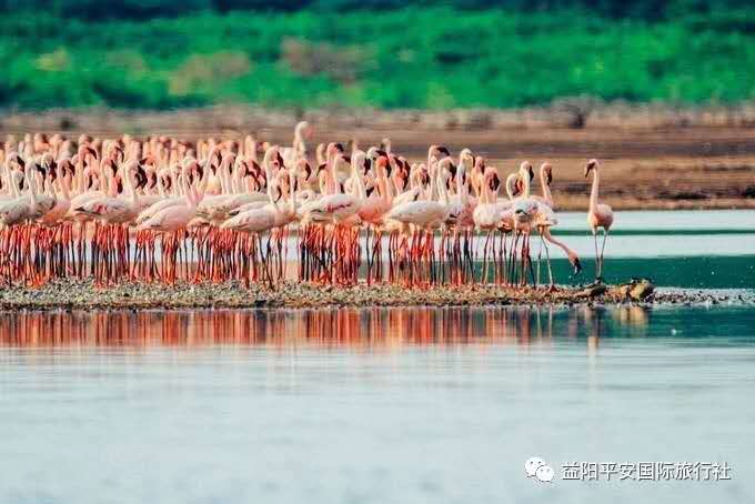 發(fā)現(xiàn)非洲體驗之旅肯尼亞10游